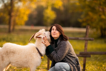 Young woman playing with white goat on a pumpkin's farm.Autumn background.