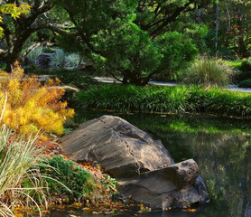 Japanese Garden landscape in America