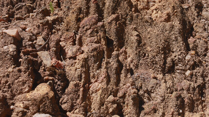 A closeup of a cut of soil. Texture. Background.