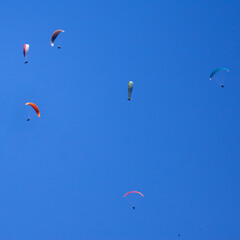 hot air balloon