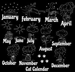 Cat calendar. Funny cat drawn by hand at different times of the year. Illustration of weather and seasons. The reaction of the cat to the weather.