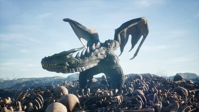 Realistic big dragon lands on scattered human bones. Animation for fabulous, fiction or fantasy backgrounds.