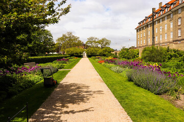 Copenhagen, Denmark. The King's garden. Park in the city center. Tourism in Denmark.
