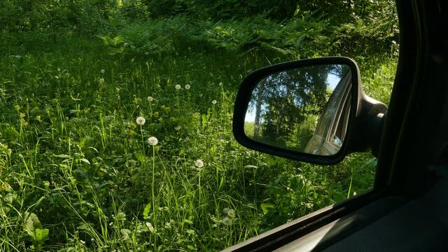 Mosquitoes fly by the open car window in front of the rearview mirror in the summer forest