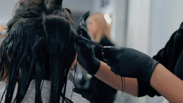 02 woman hair coloring in dark color in a beauty salon