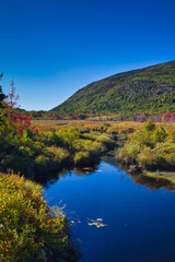 Autumn, Great Meadow, Acadia National Park, Maine