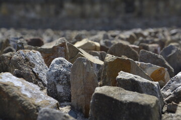 rocas 