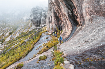 Group of hikers, with hiking guide in front walk near tall rocky cliffs, grass around, typical...