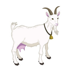 vector illustration of a goat