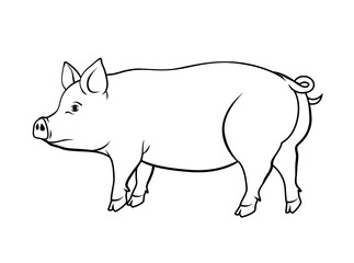vector illustration of a pig