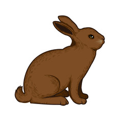 vector illustration of a rabbit