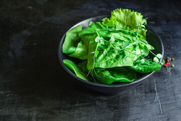 green salad spinach, arugula, lettuce, microgreen Menu concept serving size. food background top view copy space for text organic healthy eating keto or paleo diet
