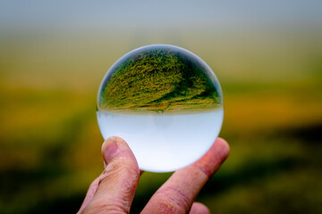 Spring fields through a crystal ball