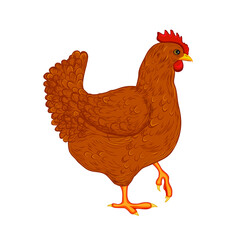 vector illustration of a brown chicken