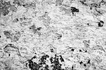 Fototapeta premium Art concrete or stone texture for background in grey and white colors