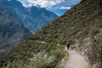 Fototapeta na wymiar trekking in the canyon and mountains