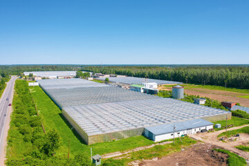 Panoramic aerial view of the large glass greenhouse for the cultivation of vegetable crops and...