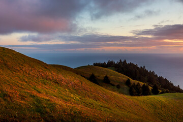 Golden Bolinas Hills