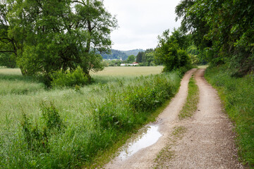 Fototapeta na wymiar Wanderweg von Hettingen nach Neufra (Hohenzollern)