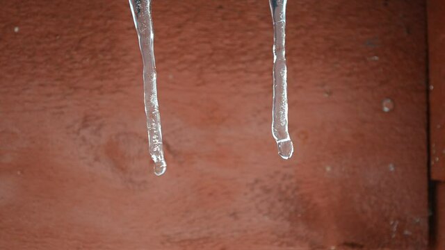 melting clear icicles in winter