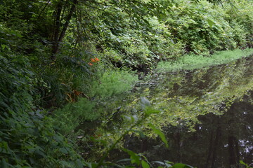 Fototapeta na wymiar The park reflected upon the pond below