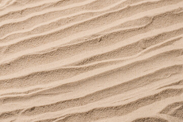 Fototapeta premium Sand texture closeup. Sand backgound.