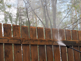 Gardening in the spring. Seasonal handling and cleaning of wooden fence from dirt and bacteria...