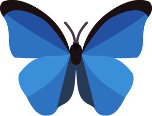 Butterfly Icon Vector