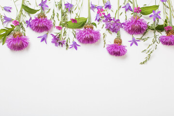 purple summer flowers on white background