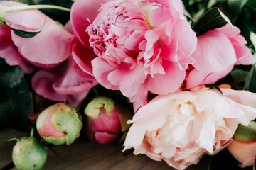 Beautiful peonies background. Delicate background with peonies.