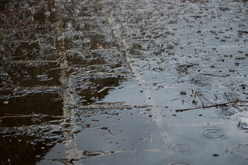 Rain fall on the ground