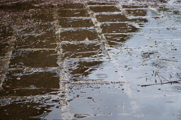 Rain fall on the ground