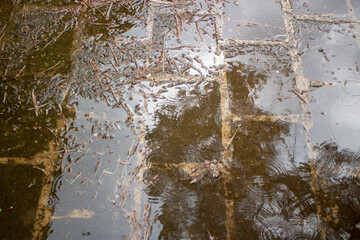 Rain fall on the ground