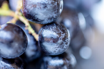 fresh healthy grape