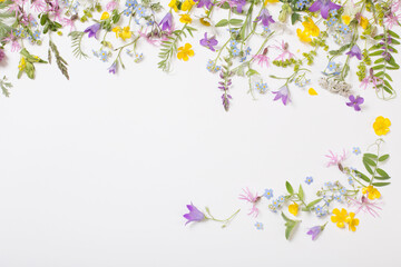 Fototapeta na wymiar beautiful wild flowers on white background