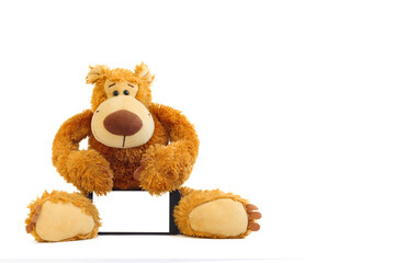 Toy bear with a mobile phone with a white screen isolated on a white background.