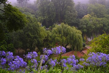 Fototapeta premium spring in the mountains