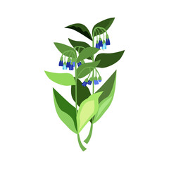 Small blue bells illustration. Flower, plant, nature. Spring concept. illustration can be used for topics like garden, field flowers, nature