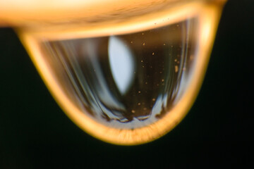 Macro shot of a water drop with reflection after rain hanging from above