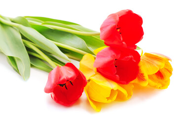Three yellow and red tulips.