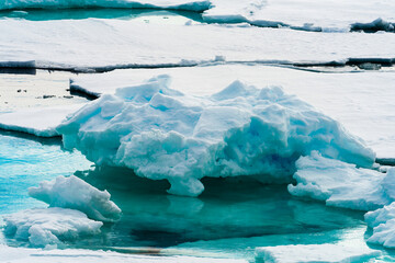 Beautiful landscpe of the Ice pieces on the water in Arctic