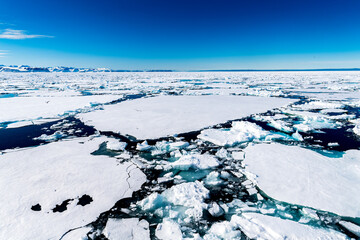 Ice pieces on the water in Arctic