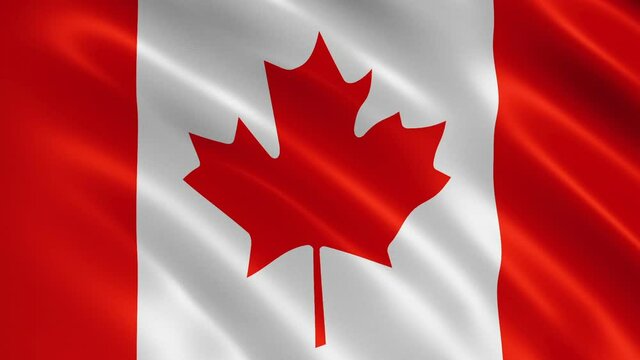 Canadian flag waving in the wind. Realistic flag background. Looped animation background.