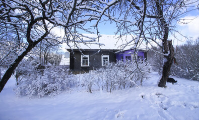 Winter nature details in countryside in East Europe.