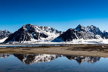 Nature of the Amsterdam Island, a small island near the  coast of West-Spitsbergen