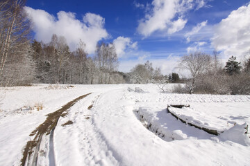 Fototapeta na wymiar Winter nature details in countryside in East Europe.