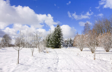 Winter nature details in countryside in East Europe.