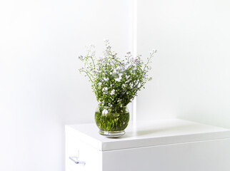 Bouquet of the beautiful spring blue and white forget-me-not flowers on light background. Myosotis plant. Natural decor. Floral composition in minimalist light interior.