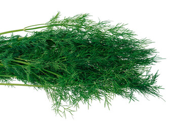 Dill on a white background in isolation