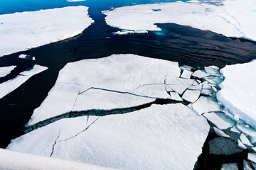 Ice pieces on the water in Arctic